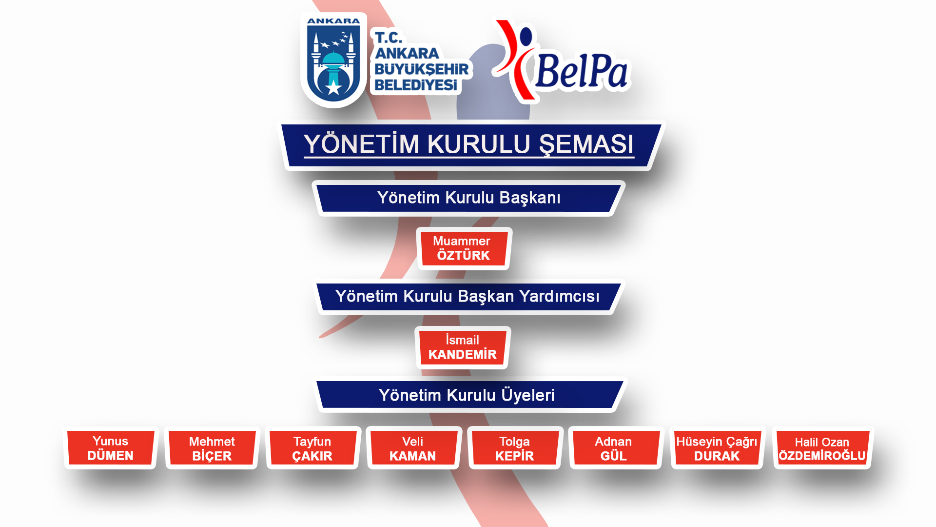 yönetim kurulu şeması