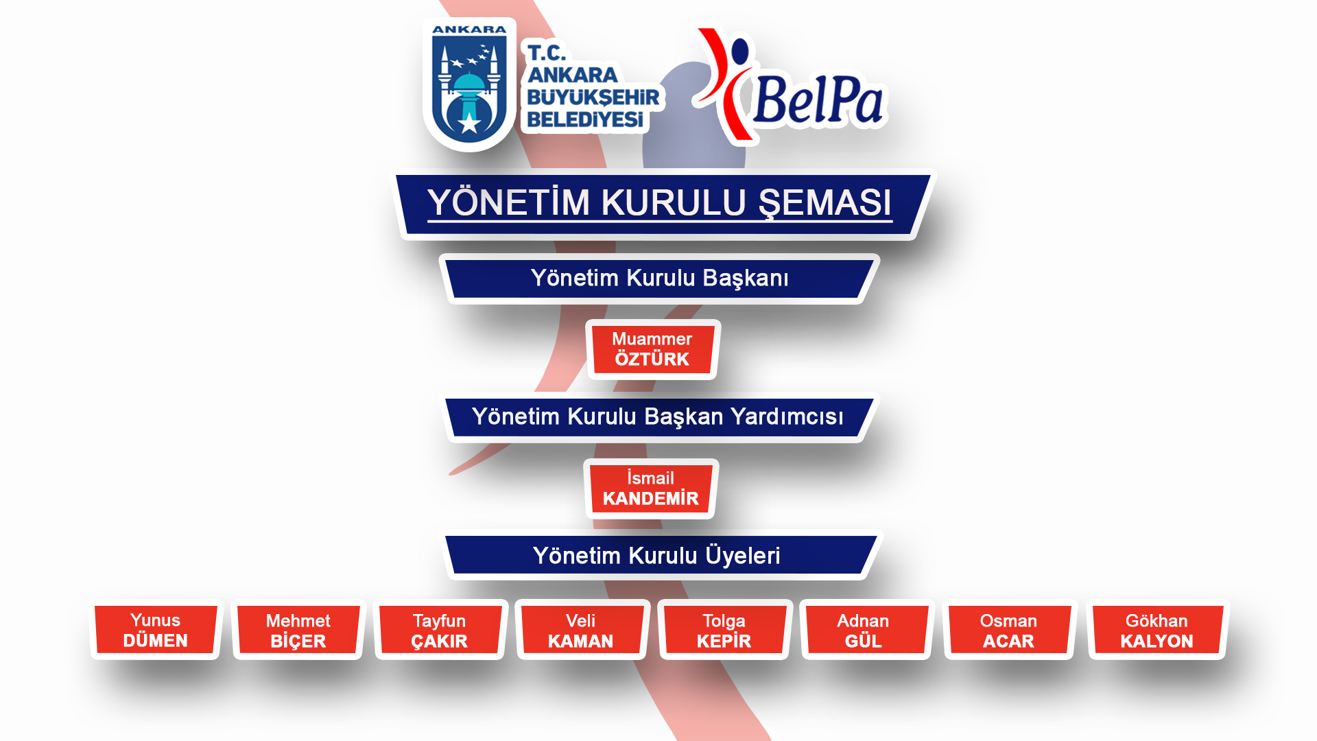 yönetim kurulu şemasSONı
